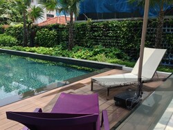 7 on Chapel (D15), Apartment #239680171
